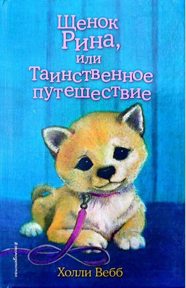 Щенок Рина, или Таинственное путешествие