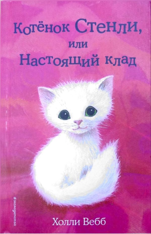 Котёнок Стенли, или Настоящий клад
