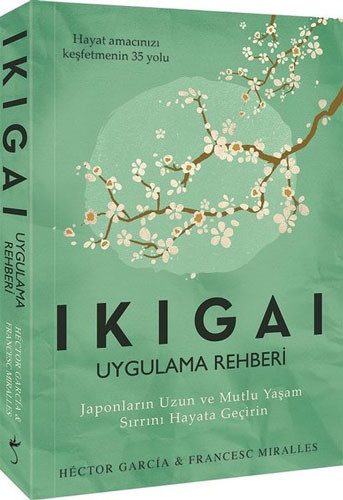 İKİGAİ UYGULAMA REHBERİ (İNDİGO)